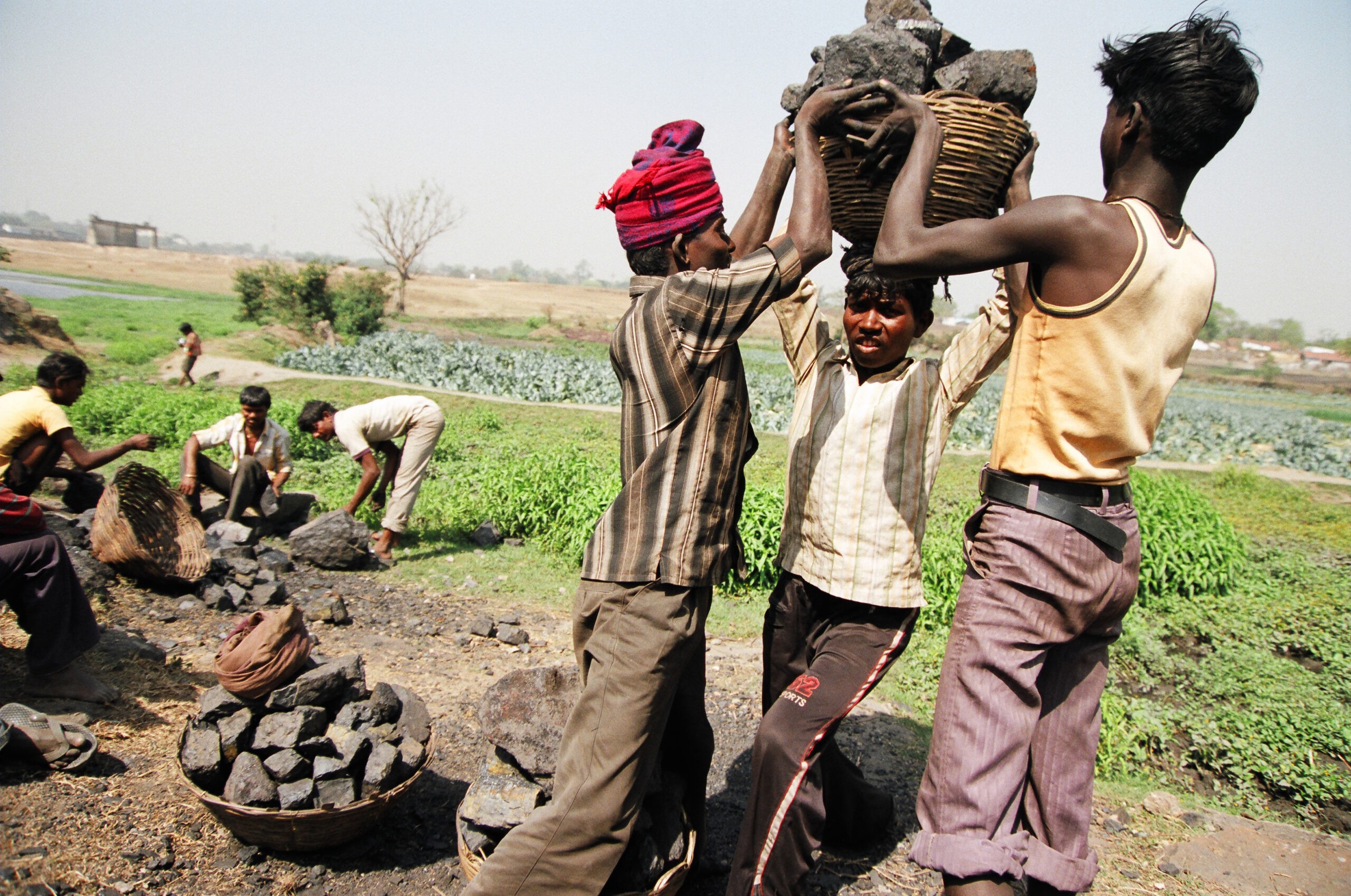 dreamstime_xxl_7386969