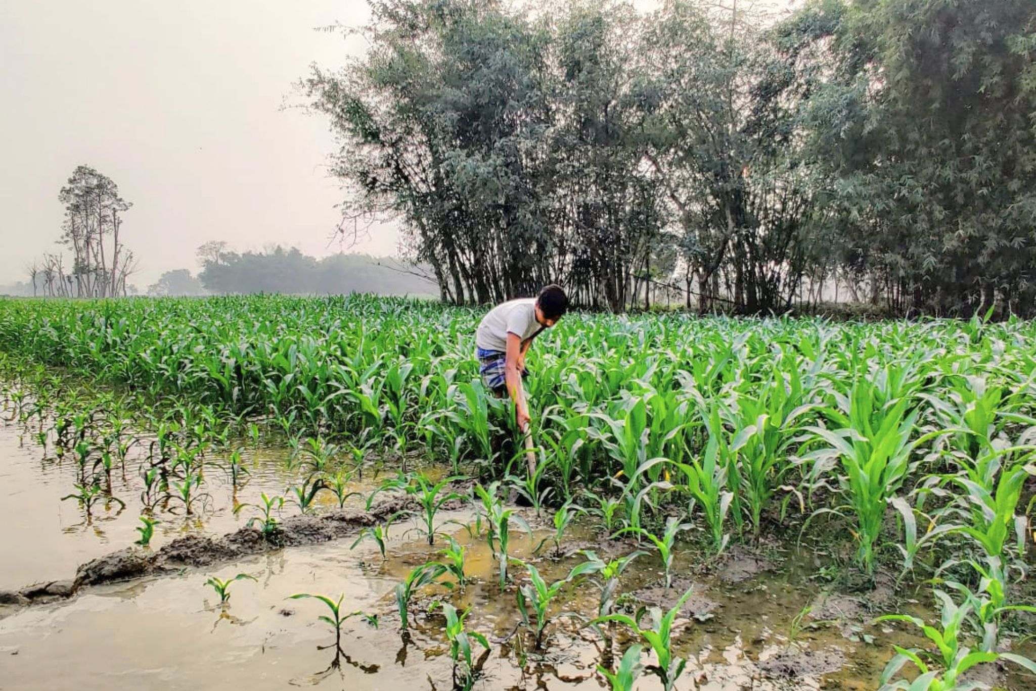 Resilience-in-Climate-Change