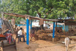 Concluded the national science foundation (NSF) research project