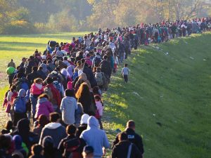 Montages of Migration